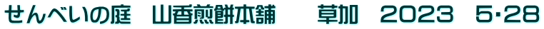 せんべいの庭　山香煎餅本舗　　草加　２０２３　５・２８