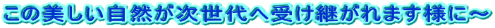 この美しい自然が次世代へ受け継がれます様に～ 