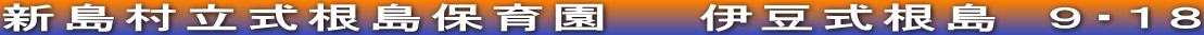 新島村立式根島保育園　　伊豆式根島　９・１８