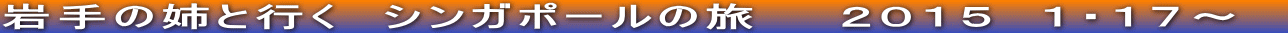 岩手の姉と行く　シンガポールの旅　　２０１５　１・１７～　